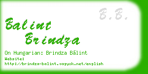 balint brindza business card